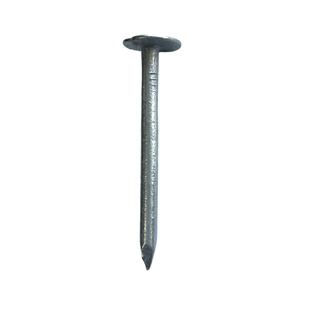 XL Head Clout Nails Galvanised (1KG)