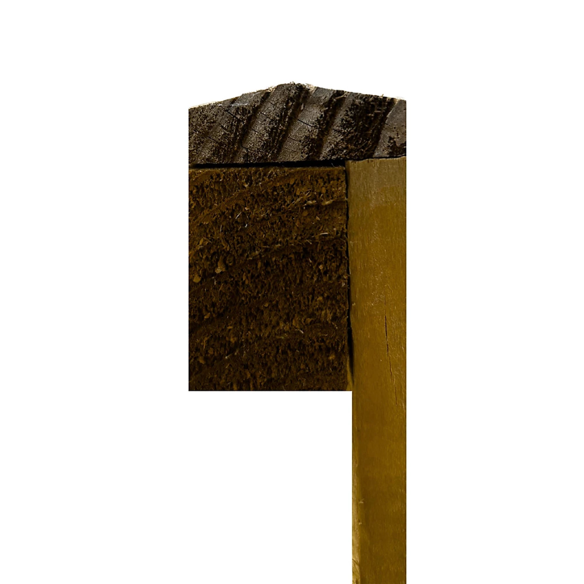 Feather Edge Fence Panel – Tanalised - Reynolds Timber & Building Supplies