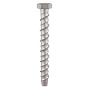Masonry Bolt Hex Exterior Silver 10.0 x 100mm