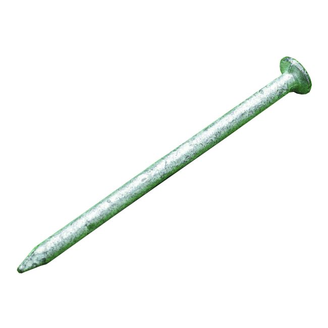 Round Head Galvanised Nails 65mm (1KG) - Reynolds Timber & Building Supplies