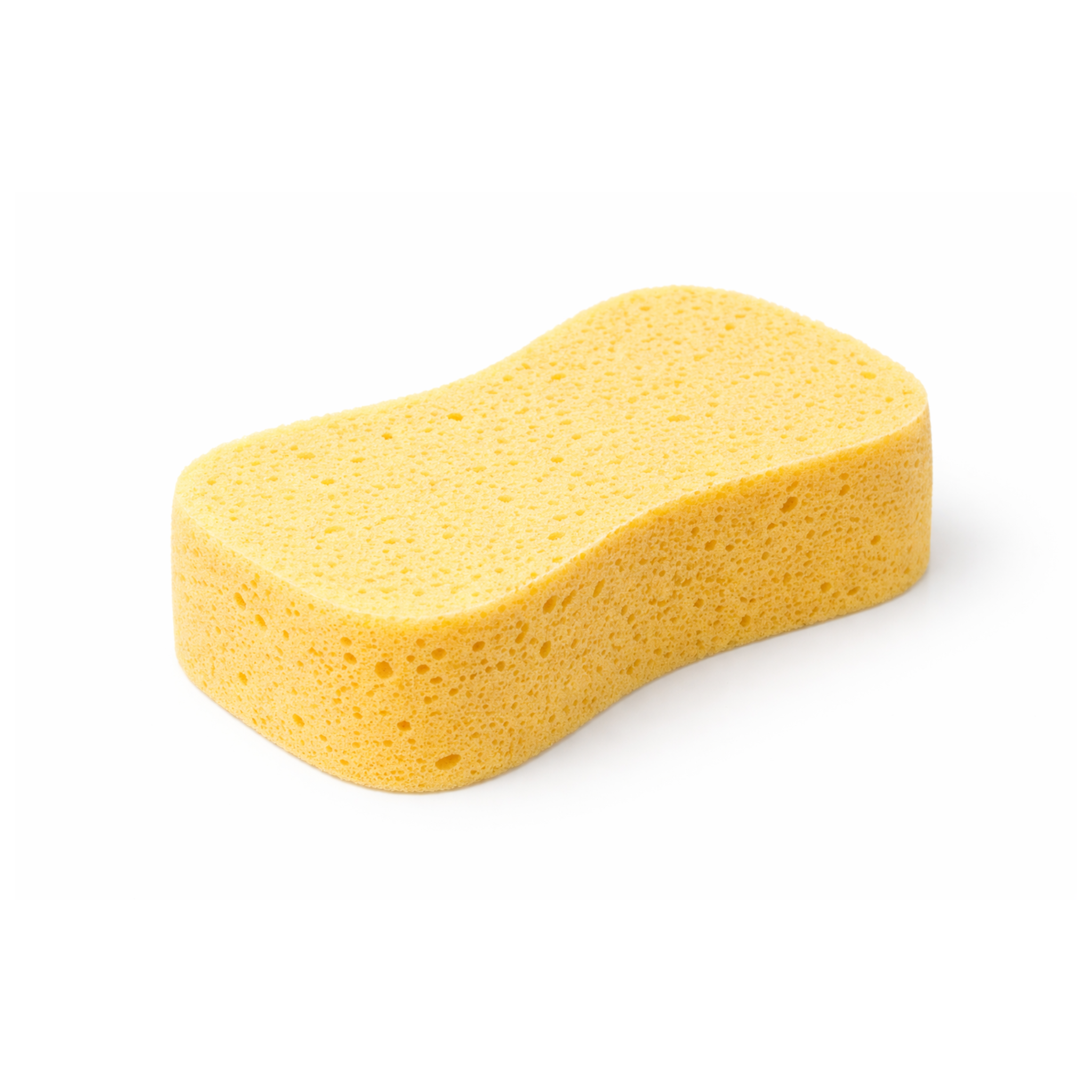 Jumbo Sponge