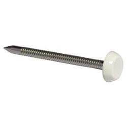 65mm Poly Top Nails White - Reynolds Timber & Building Supplies